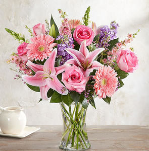 Meet your Posher, Daisy